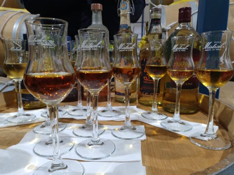 Hoy se celebra el Día Nacional del Pisco en Ovalle con actividades gratuitas