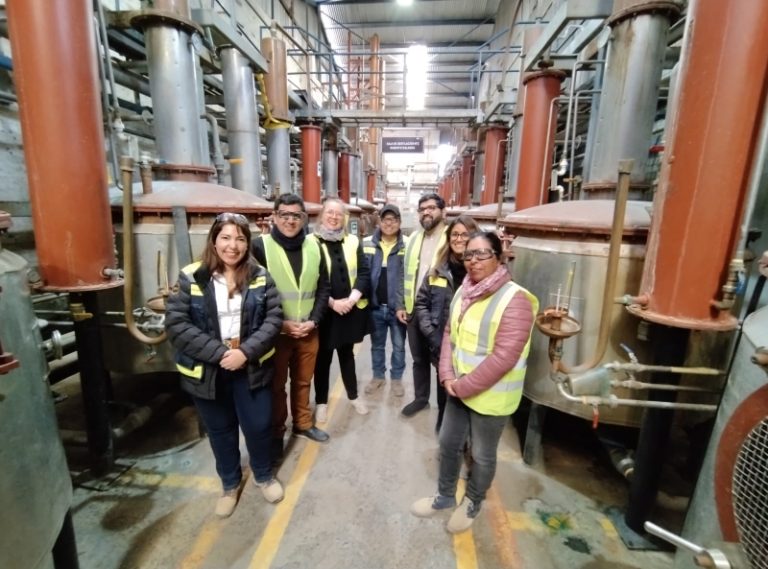 Destacan el aporte de la industria pisquera al desarrollo de la provincia de Limarí