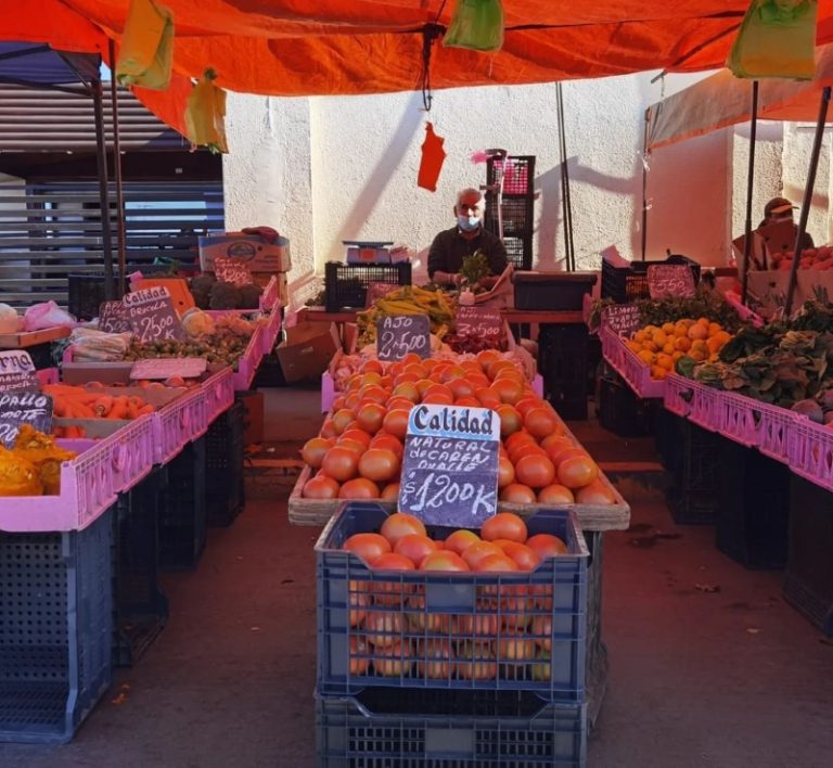 Destacan baja de precios de alimentos y difunden indicador “Mejores Alimentos de Temporada”