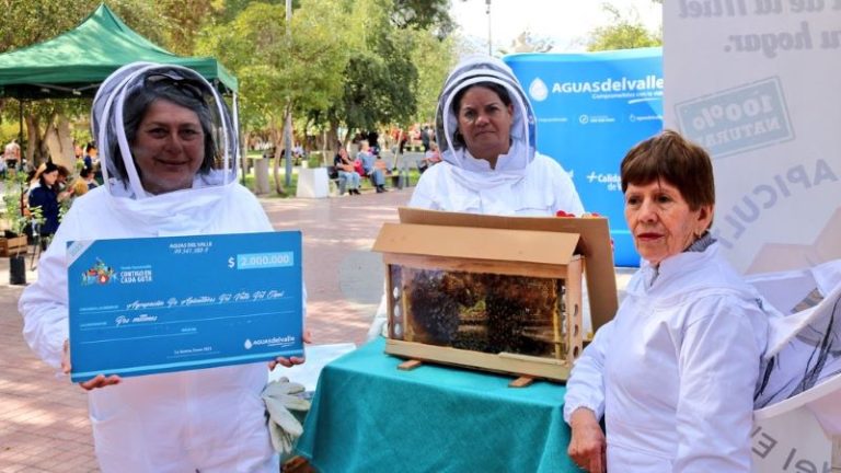Apicultores del Valle de Elqui realizan charlas a estudiantes de Vicuña sobre cuidado de las abejas
