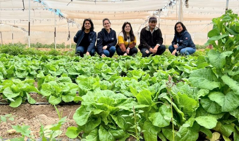 1.810 usuarios de INDAP de la provincia de Limarí recibieron recursos del Fondo de Operación Anual