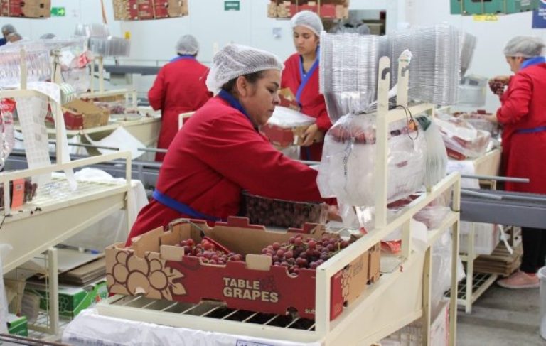 Tasa de desempleo en la Región de Coquimbo se sitúa en 8,8% durante el trimestre marzo-mayo 2023