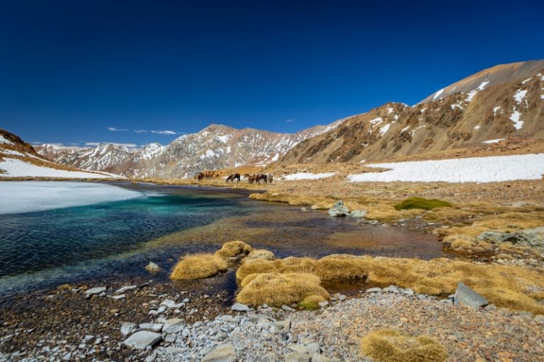 Congreso despacha ley que crea el Servicio de Biodiversidad y Áreas Protegidas