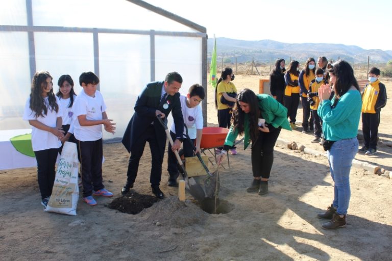 Impulsan proyecto de reforestación de árboles nativos en la escuela de Socos