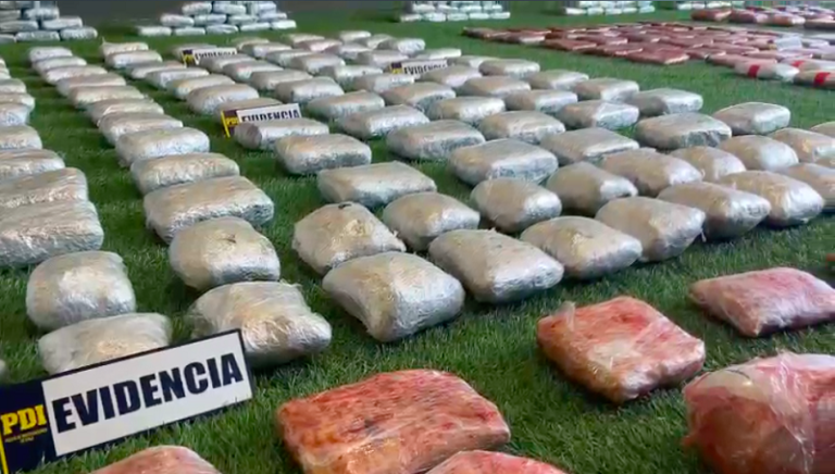 Brigada antinarcóticos de Los Vilos interviene organización criminal transnacional de cannabis