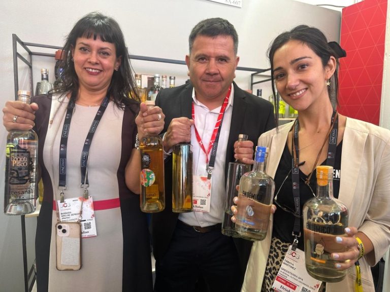 Piscos de la Región de Coquimbo muestran su oferta en importante feria internacional realizada en Brooklyn