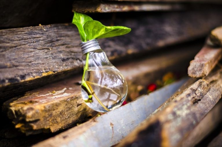 CORFO abre convocatoria para programa de Innovación Social con foco en la Región de Coquimbo
