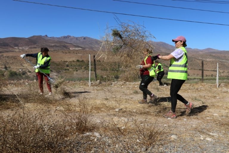Programa de Empleabilidad Regional del GORE lleva un 94% de contrataciones y más de 1.500 son mujeres 