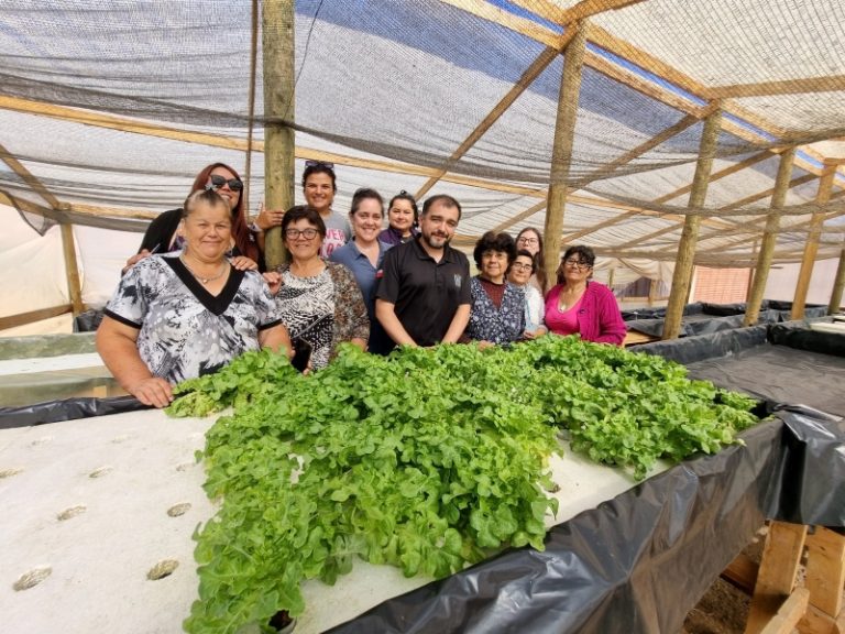 Cooperativas de la región de Coquimbo podrán postular a programa de apoyo de Sercotec