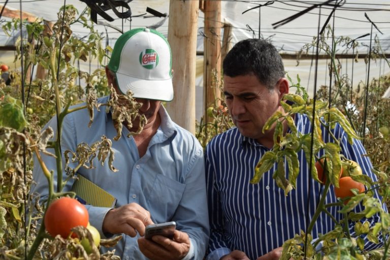 Alcalde de Monte Patria manifiesta preocupación por falta de estrategia frente a futura crisis de la agricultura