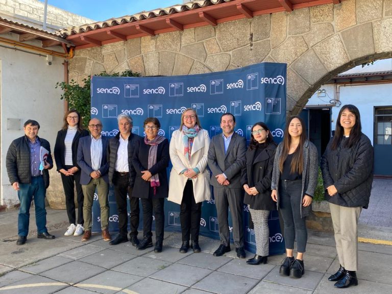 Más de $690 millones para cursos con pertinencia territorial dispondrá nuevo Consejo Regional de Capacitación
