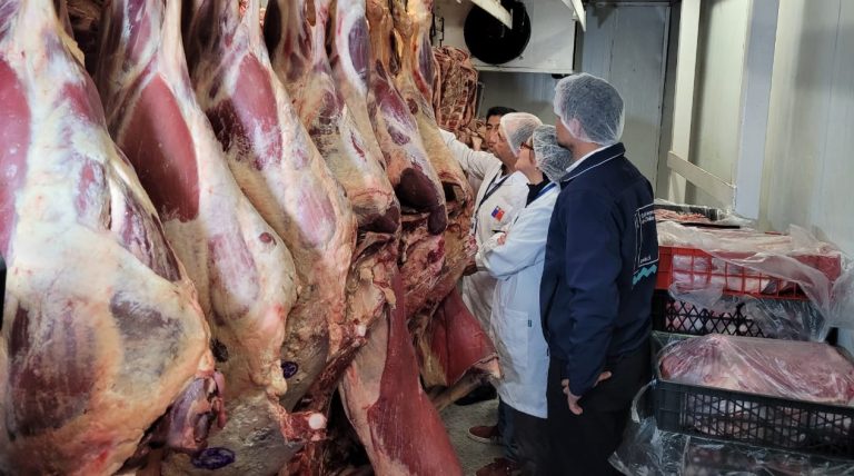 Región de Coquimbo culminó sin brotes de enfermedades transmitidas por alimentos en Fiestas Patrias