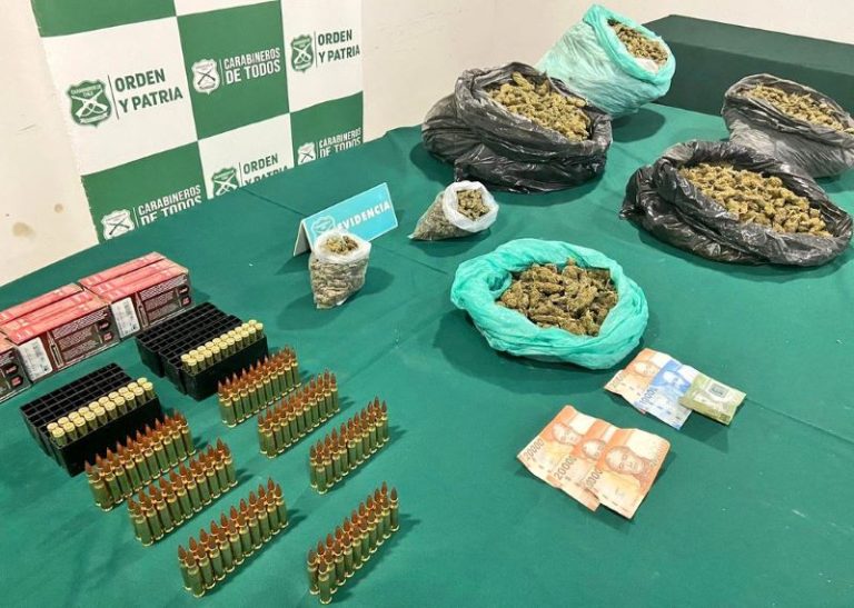 Más de 1600 plantas y 26 kilos de marihuana decomisó el OS7 en Punitaqui