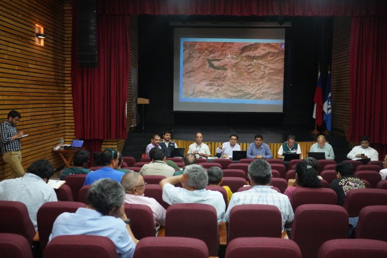 Autoridades entregan primera evaluación sobre la mortandad de abejas en Monte Patria