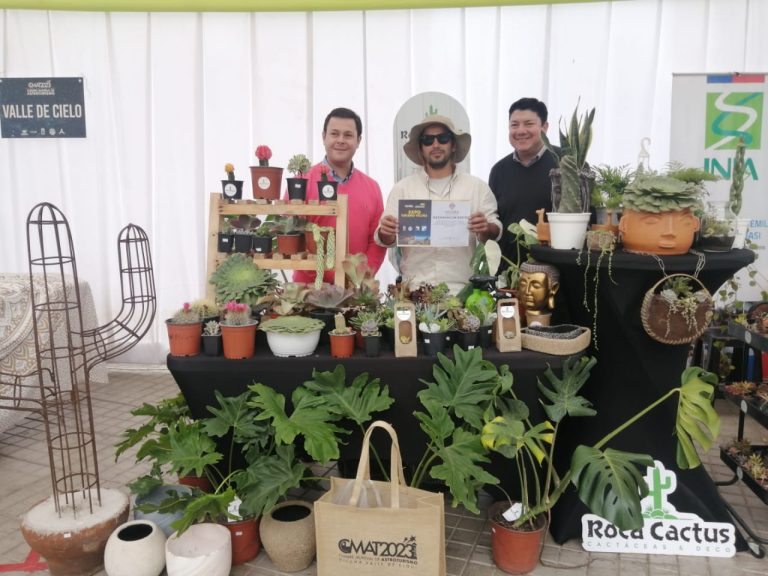 Expo Turismo Vicuña exhibió oferta de productos locales a visitantes internacionales