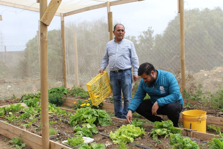 Vecinos del sector Hornillos implementaron sistema de cuidado de semillas naturales