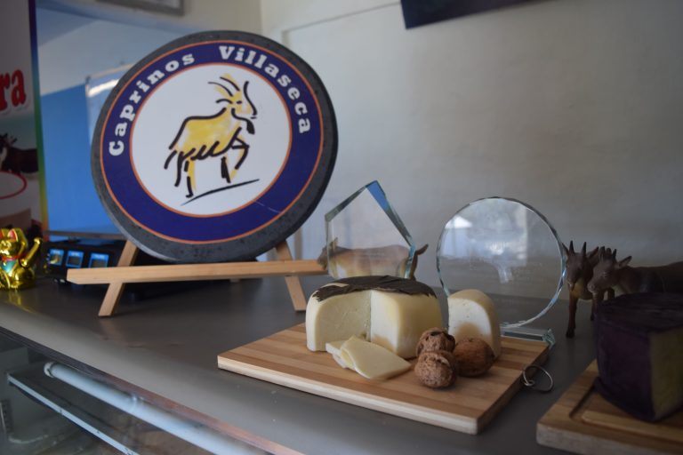 ¡Provincia del Limarí ganó la Copa América del Queso!