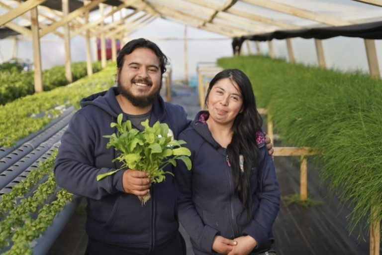 INDAP abrió concurso para jóvenes rurales. Podrán adquirir equipamiento y/o insumos asociado a principios, manejos y prácticas sustentables