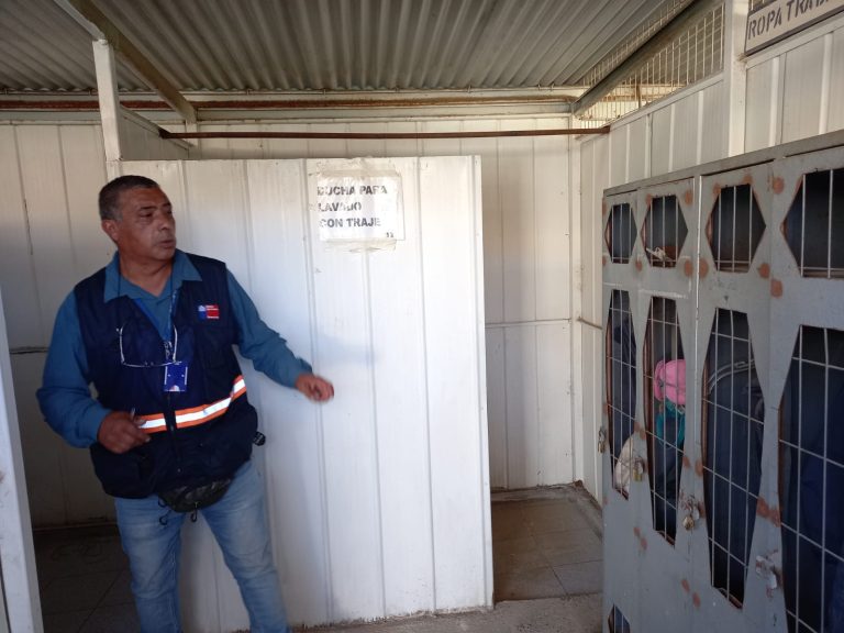Cerca de 250 inspecciones se han realizado a más de 80 empresas agrícolas de Monte Patria para prevenir intoxicaciones
