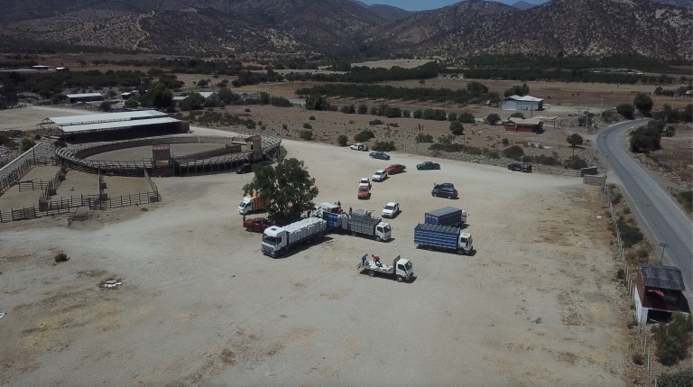 Municipios de Los Vilos y Petorca preparan gran muestra artística, cultural y productiva en la medialuna “San Manuel”
