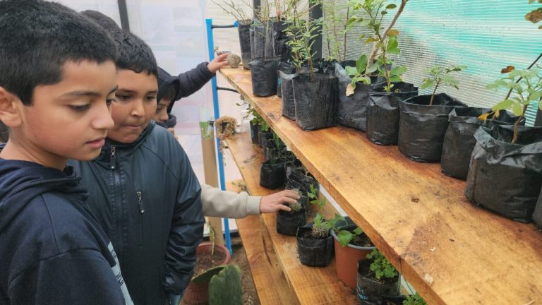 Rescate de plantas nativas para detener degradación sostenida de los suelos