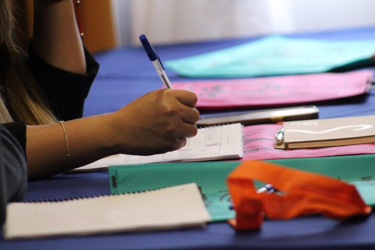 Profesionales y educadores de proyectos proteccionales se capacitan en el fortalecimiento de habilidades parentales