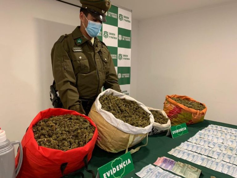 Con más detenidos, armas y plantas decomisadas, Carabineros cerró 2023 en la región