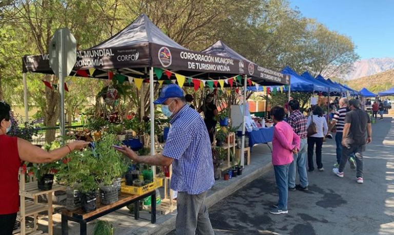 Panorama para toda la familia: Realizarán fiesta costumbrista en Vicuña