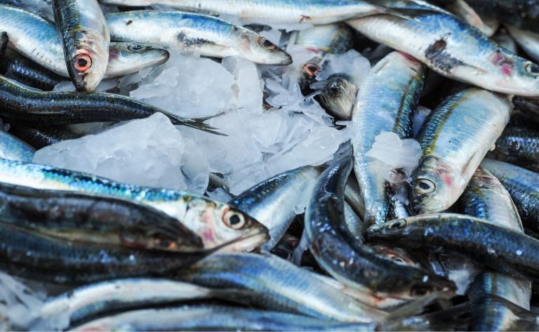 El 55% de brotes alimentarios es por consumo de pescados o mariscos