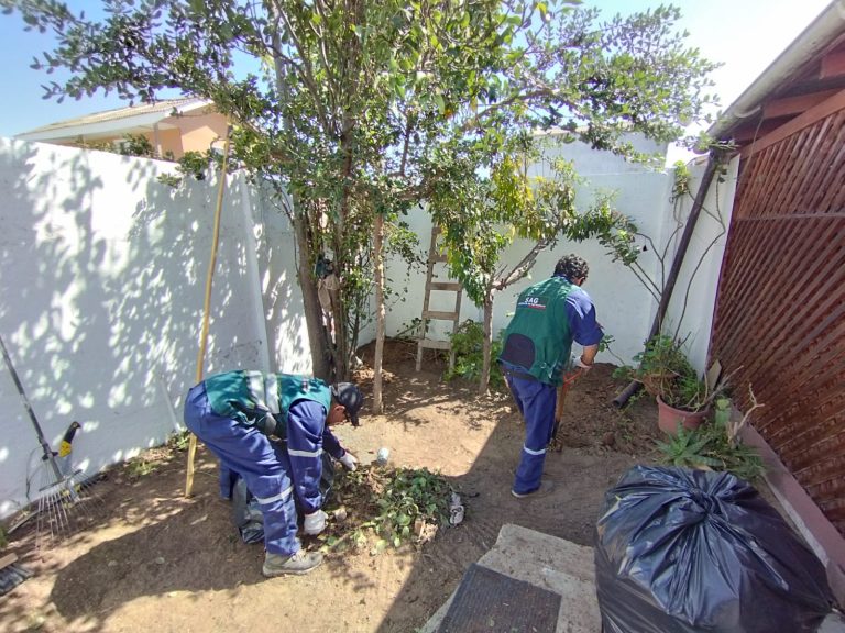 SAG inicia campaña de control y erradicación de mosca de la fruta en Río Hurtado