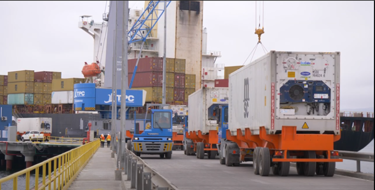 Primer embarque de jibia a Asia consolida el liderazgo del Puerto de Coquimbo