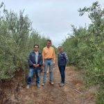 El Seremi de Agricultura y el Director Regional de INDAP conocieron el trabajo del olivicultor Johannes Van Dijk 01