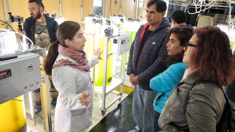 Pequeños acuicultores conocen nuevas tecnologías para la producción continua de semillas de ostión