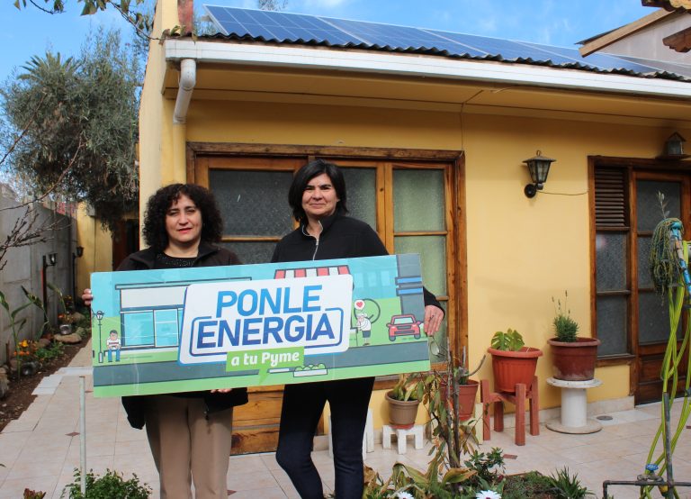 Pyme de huevos de codornices ahorra el 100% de su consumo de energía