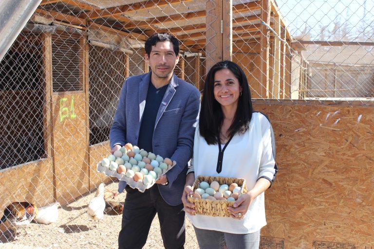 Invitan a Mipes de la Región de Coquimbo a postular al Capital Semilla de Sercotec
