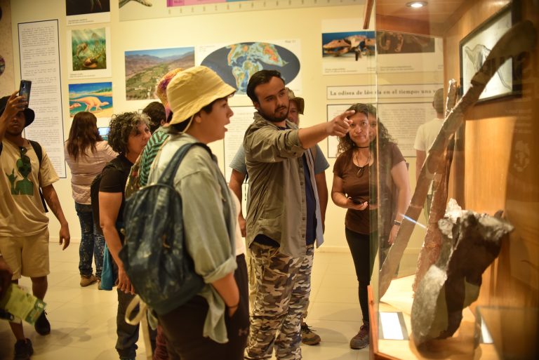 Río Hurtado se transforma en potencia paleontológica nacional con visitas guiadas por investigadores