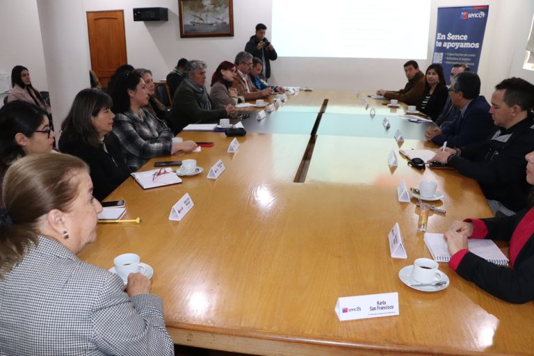 Reactivación e inversión: principales desafíos de Primera Mesa de Empleabilidad