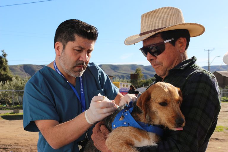 Familias de Barraza Bajo fueron favorecidas con operativo veterinario para sus mascotas