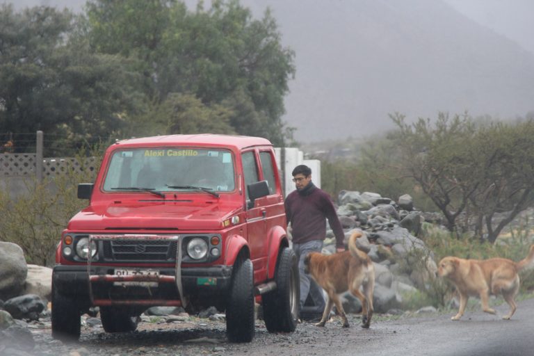 Monte Patria: más de 110mm de agua caída y una buena proyección para los sectores productivos