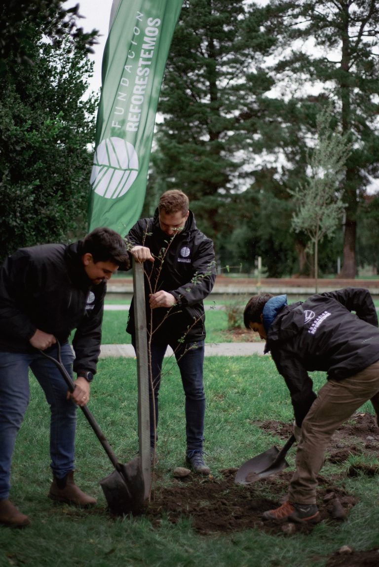 Fundación Reforestemos anuncia ambicioso plan de reforestación y lidera iniciativas de restauración y arbolado urbano