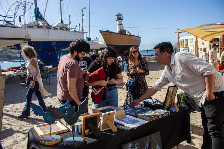 Recta final en convocatoria de la II Feria de Artes Visuales de la Región de Coquimbo