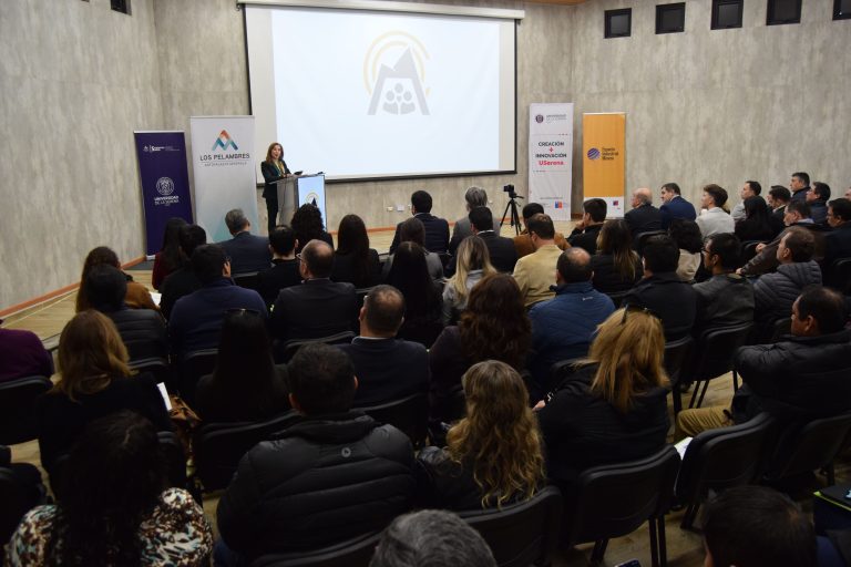 Cumbre Industrial Minera de la región de Coquimbo resalta las oportunidades crecientes en la industria