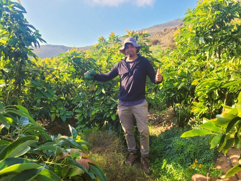 Punitaquino se decidió por trabajar en la agricultura siguiendo la tradición familiar: “Uno es su propio jefe”
