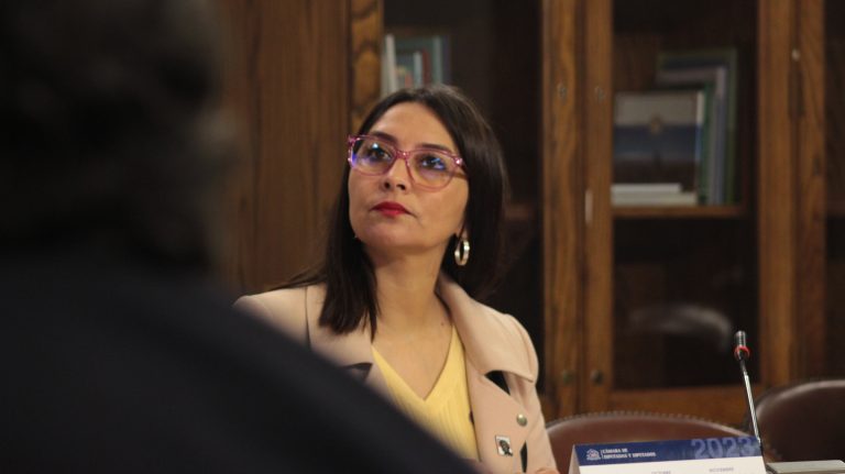 Diputada Castillo y suspensión de vuelos: “Asegurar la conectividad aérea es clave para potenciar a la región de Coquimbo”