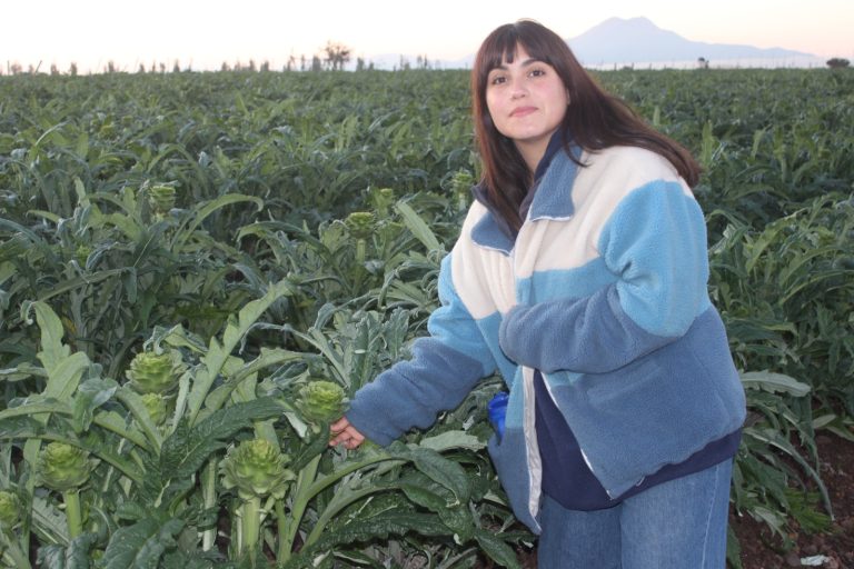 La aventura de Lili Barrientos: la joven que dejó Santiago y ahora produce alcachofas y derivados en Ovalle