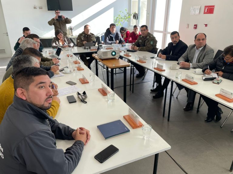 Informan disminución de delitos en el último mes en Limarí