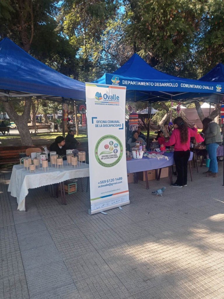 Este miércoles 31 de julio realizarán Feria de Emprendimiento Inclusivo en Ovalle