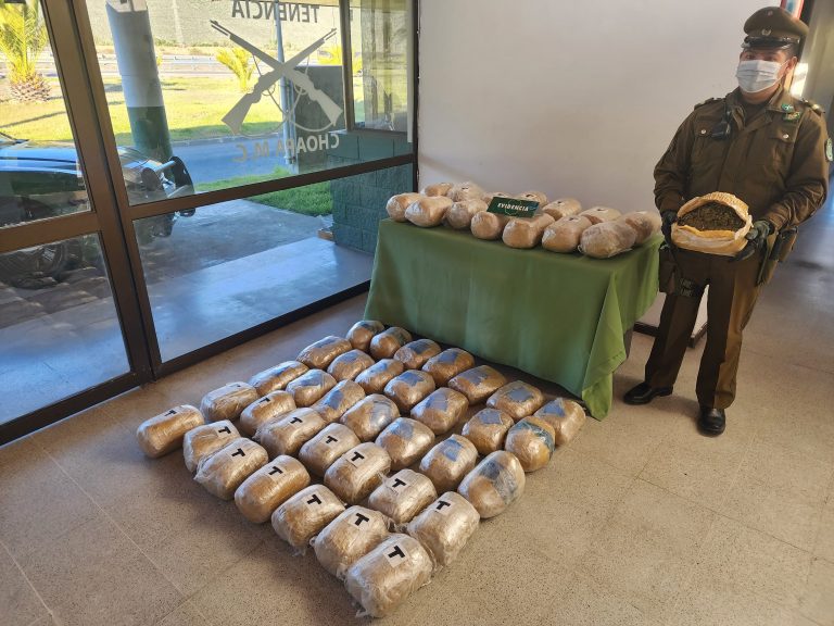 Nuevo decomiso de droga en carretera: 52 kilos de cannabis sativa estaban destinados a zona centro sur
