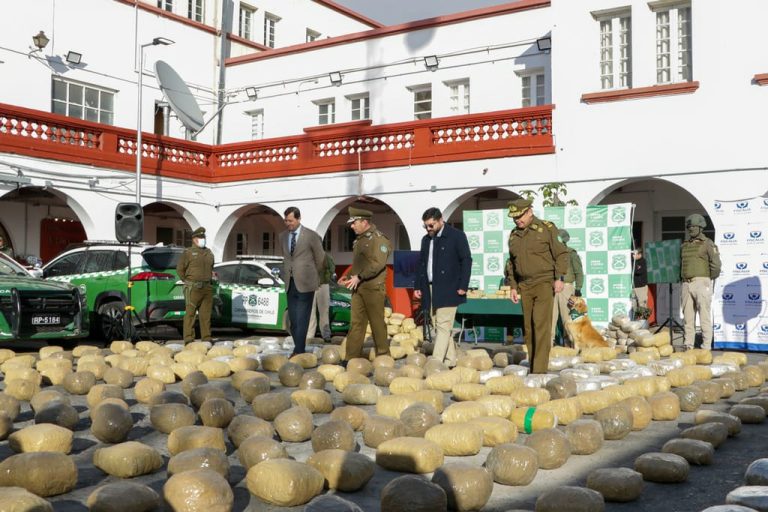 Casi media tonelada de droga fuera de circulación tras exitoso operativo en la región de Coquimbo