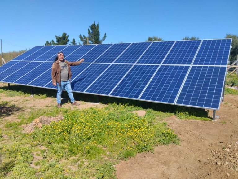 Sistema fotovoltaico le cambia la vida a productor de aceite de oliva ovallino